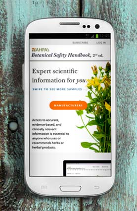 Professional web design