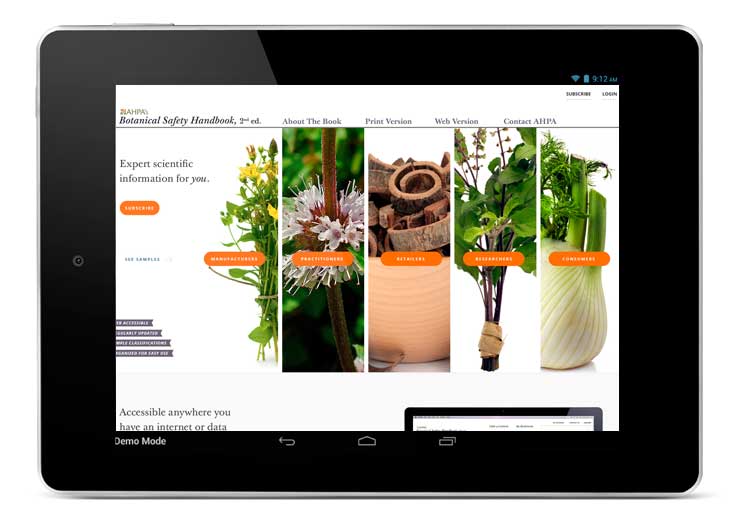 Responsive web design portfolio sample