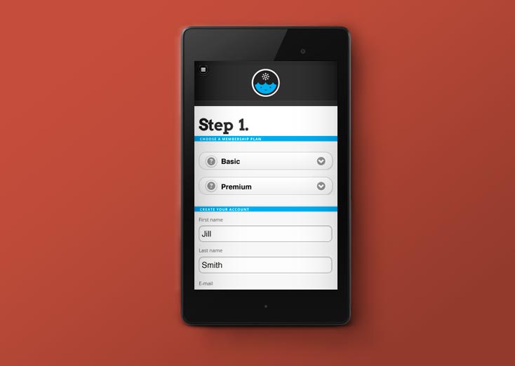 Mobile website application portfolio sample