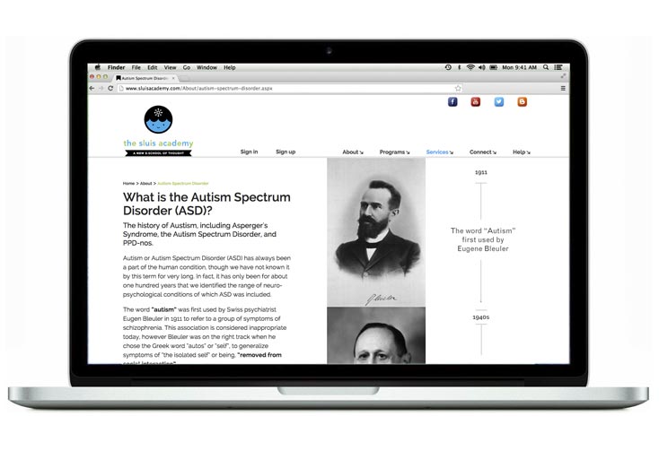 Professional web design portfolio sample